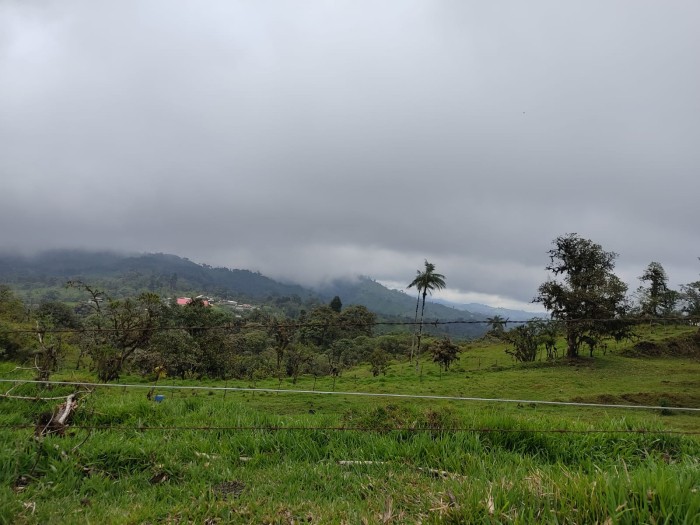 Condesan_landschap