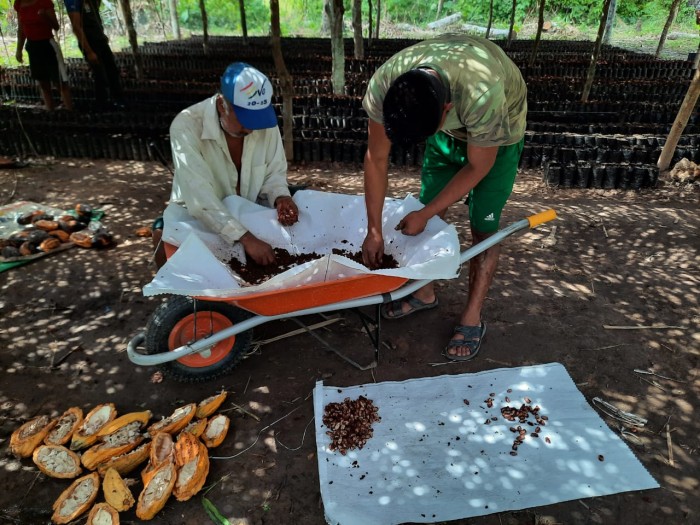 2022 - Soluciones Practicas - BOL - Cacao1