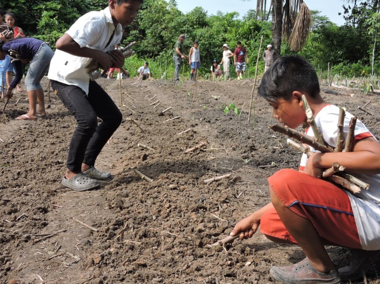 Chaicuni - Kinderen planten aan maart 2020- Véronique Gérard.JPG