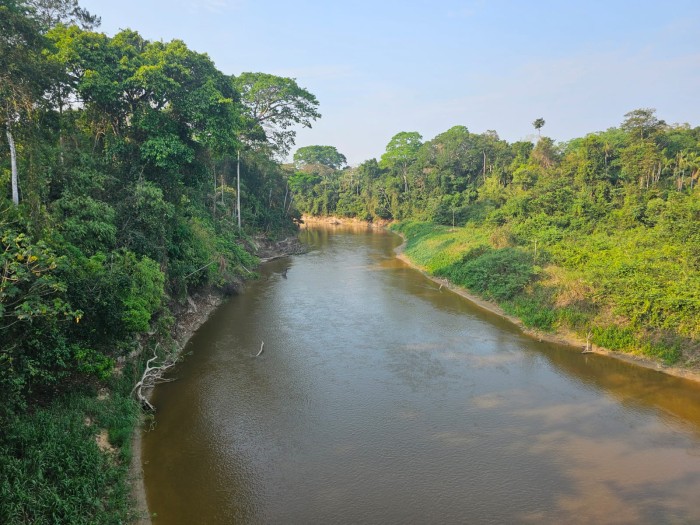 Oficial Well conserved forest Amazonía Pando Bolivia G.Mariaca