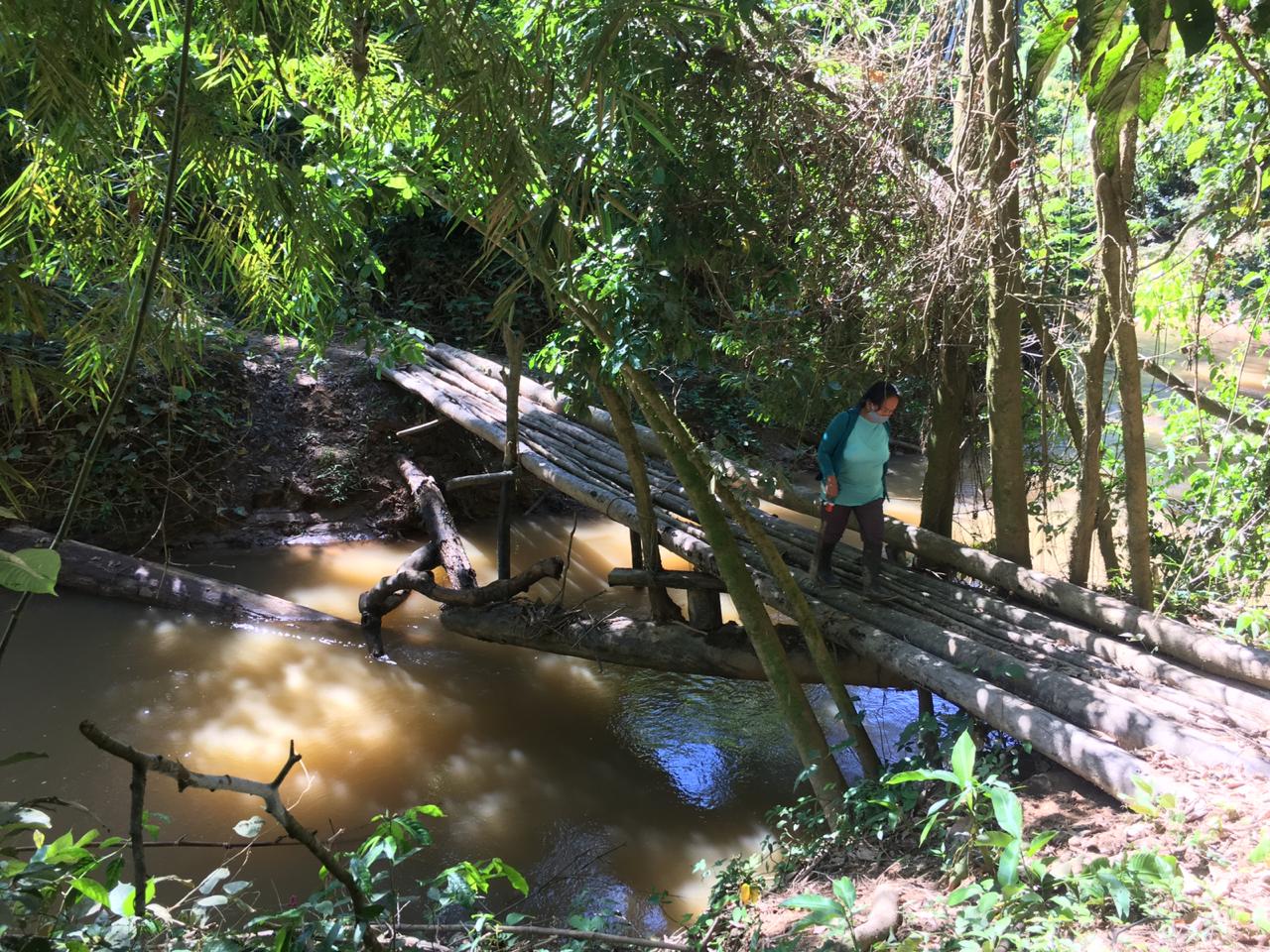 Camino verde - foto 1 - Véronique Gérard.jpeg