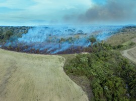 iStock-1304194364.jpg