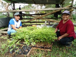 2021_CONDESAN-EC-Cloud_Forest_of_Northwestern Ecuador-Farmers receiving tree species to regenerate t